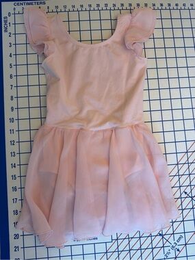 Stelle Pink Chiffon Skirt Ballet Dress with Flutter Sleeves
